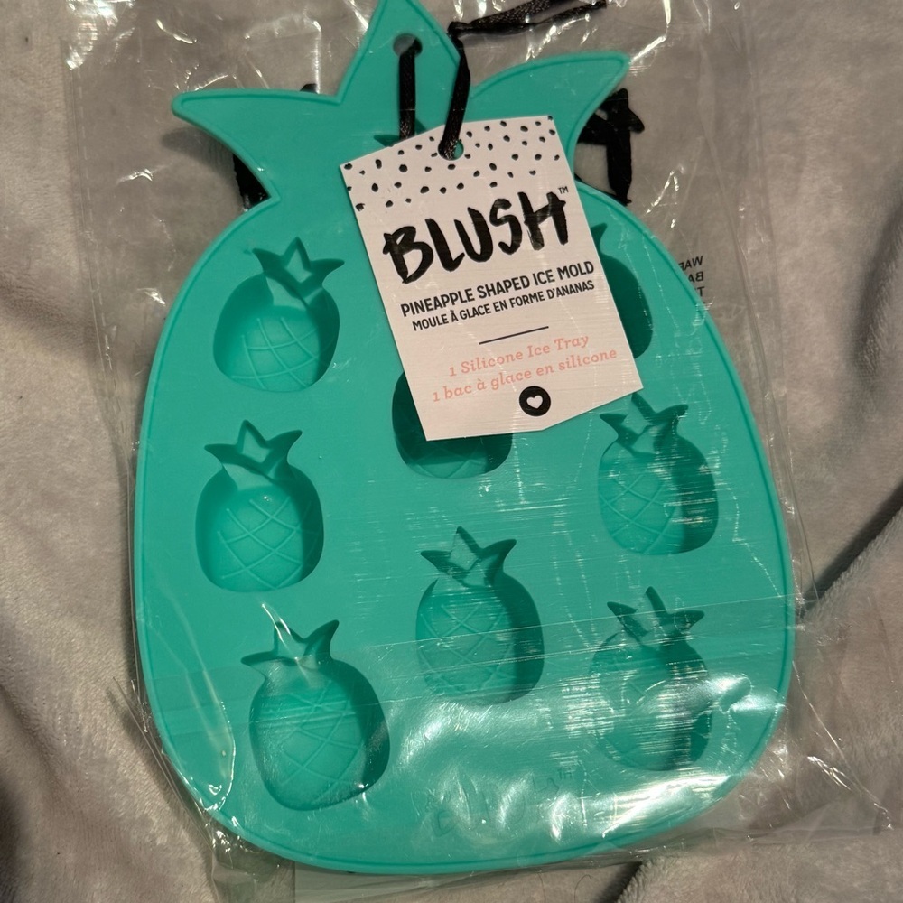 Blush Turquoise Pineapple Ice Tray NEW